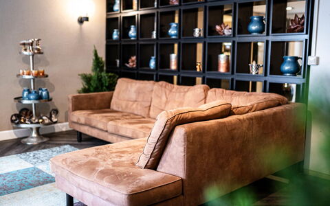 Winterberg 110: Møbel, Couch, Indretning, Stue, Plante, Etage, Billedramme, Gulvbelægning, Væg, Studio Couch