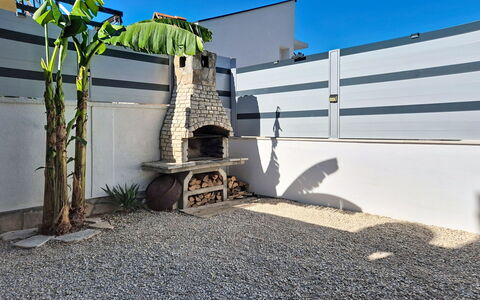 Vili: Skygge, Have, Beton, Landscaping, Gårdsplads, Gård, Backyard, Stueplante