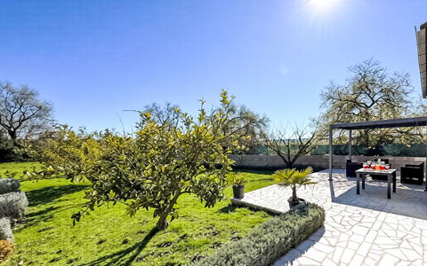 Ivan: Busk, Have, Bunddække, Landscaping, Skygge, Lawn, Gård, Backyard, Walkway, Parkere