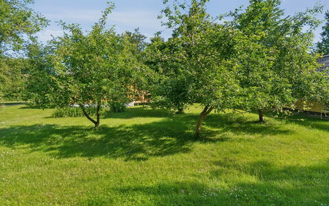 Lennart - 4Km from the Sea: Blå, Busk, Sommerhus, Bunddække, Have, Estate, Skygge, Landscaping, Stuehus, Eco Hotel
