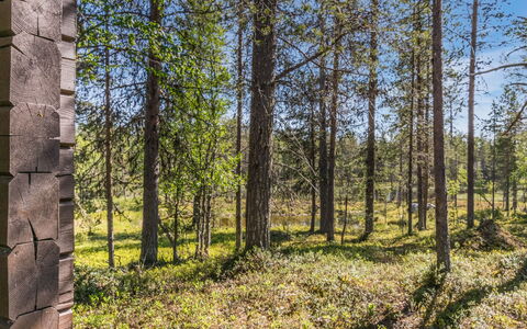 Metsäntupa: Træ, Hus, Sne, Sommerhus, Hjem, Vinter, Tag, Fryser, Sidespor, Hældning