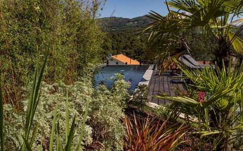 Rio Lima Retreat: Plante, Plantesamfund, Himmel, Blad, Naturlige Landskab, Træ, Vegetationen, Vand, Hus, Terrestrisk Plant