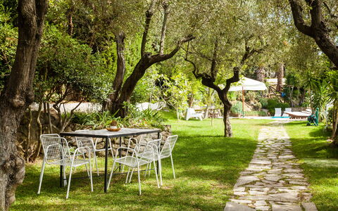 Villa Il Sole Di Sorrento: Plante, Møbel, Bord, Træ, Afdeling, Naturlige Landskab, Skygge, Stol, Græs, Udendørs Møbler