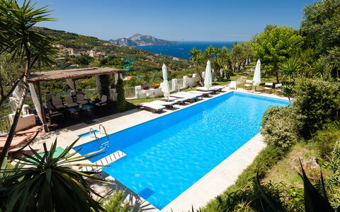 Villa Il Sole Di Sorrento: Vand, Plante, Himmel, Ejendom, Svømmepøl, Azure, Træ, Botanik, Vegetationen, Arecales