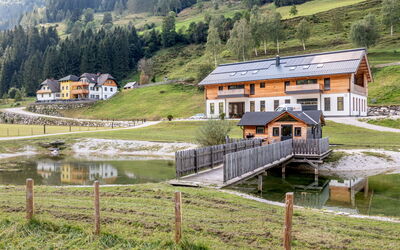 Stein an der Enns 613