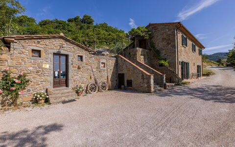 Casale Della Torre: Plante, Himmel, Sky, Bygning, Vindue, Ejendom, Hus, Træ, Land Lot, Arkitektur