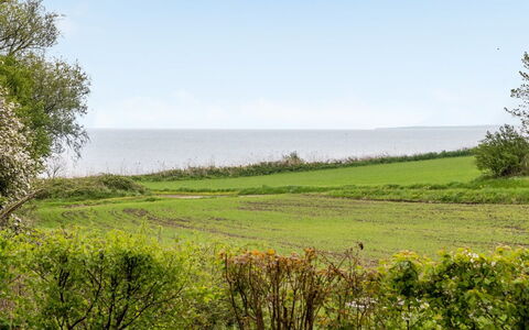 Venla - 150M from the Sea: Blå, Grøn, Græs, Naturlige Landskab, Vegetationen, Græs-, Horisont, Sommer, Økoregion, Hav