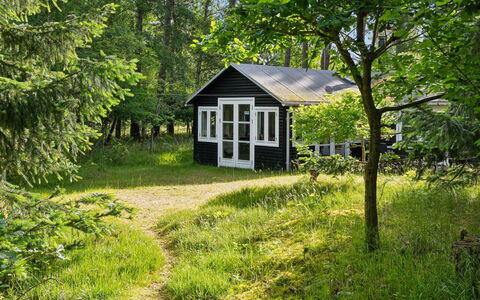 Borghild - 1Km from the Sea: Græs, Træ, Blad, Vegetationen, Hus, Sommerhus, Busk, Hjem, Landdistrikt