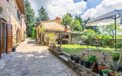 Greve in Chianti 620: Plante, Sky, Himmel, Bygning, Blomsterkrukke, Vindue, Stueplante, Træ, Kvarter, Blomst