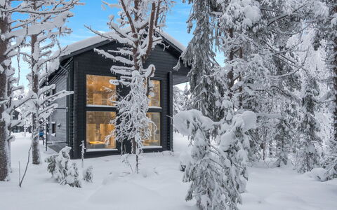 Levin Hiihtäjä: Sommerhus, Hus, Hjem, Garden Bygninger, Sidespor, Bjælkehytte, Stuehus, Estate, Skur, Gård