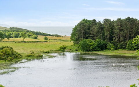Stygg - 400M from the Sea: Tag, Hus, Hjem, Sommerhus, Sidespor, Estate, Indkørsel, Garden Bygninger, Gård, Skur