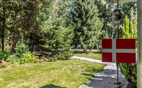 Sofja - 175M to the Fjord: Pol, Have, Landscaping, Evergreen, Flag, Lærk, Parkere, Pine Family