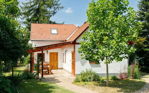 Magnolia: Plante, Bygning, Ejendom, Vindue, Himmel, Natur, Sky, Træ, Hus, Land Lot