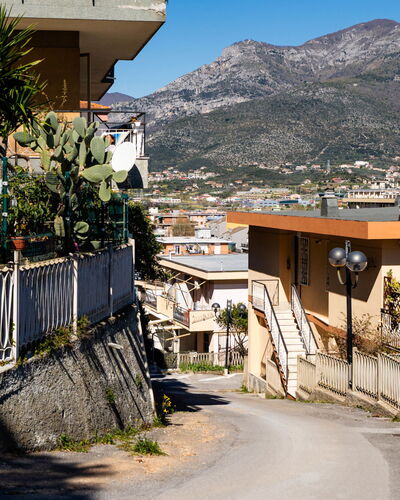 Borghouse