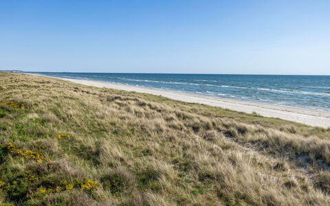 Einette - 100M from the Sea: Møbel, Indretning, Gulvbelægning, Etage, Loft, Værelse, Stol, Bord, Lejlighed, Køkken & Spisebord