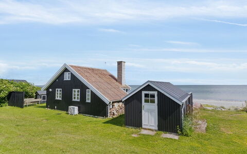 Ofrath - 5M from the Sea: Græs, Græs-, Landskab, Økoregion, Almindeligt, Plantesamfund, Land Lot, Udendørs Møbler, Prærie, Shrubland