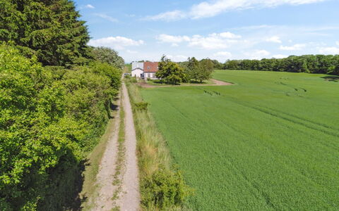 Antonina - 1.5Km from the Sea: Grøn, Græs, Træ, Græs-, Naturlige Landskab, Mark, Sommer, Almindeligt, Landskab