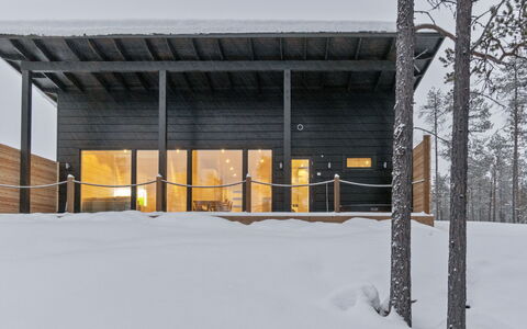 Villa Paadari: Træ, Sommerhus, Bjælkehytte, Skov, Skur, Garden Bygninger, Lærk, Woodland, Bejdse