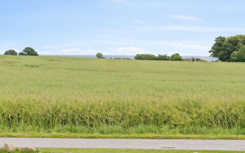 Sebine - 800M from the Sea: Tag, Hus, Hjem, Sommerhus, Dør, Sidespor, Dæk, Veranda, Planke, Hårdttræ