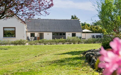 Teodora - 3Km from the Sea: Græs, Græs-, Landskab, Økoregion, Almindeligt, Plantesamfund, Land Lot, Udendørs Møbler, Prærie, Shrubland