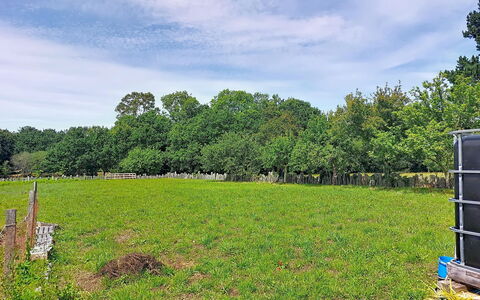 Ty Pjp: Træ, Græs, Grøn, Græs-, Pasture, Almindeligt, Land Lot, Mark, Sky, Landdistrikt