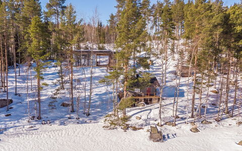 Villa Luoto: Træ, Afdeling, Træ, Vinter, Sne, Skov, Fryser, Woodland, Bagagerum