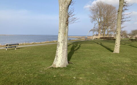 Ala - 80M from the Sea: Møbel, Indretning, Gulvbelægning, Etage, Loft, Værelse, Stol, Bord, Lejlighed, Køkken & Spisebord