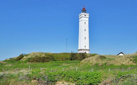 Joachim - 200M from the Sea: Tag, Hus, Hjem, Sommerhus, Dør, Sidespor, Dæk, Veranda, Planke, Hårdttræ