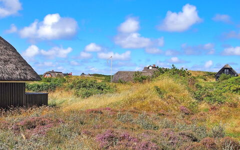 Kajin - 200M from the Sea: Træ, Tag, Arkitektur, Hjem, Hus, Sommerhus, Sidespor, Hårdttræ, Hældning, Estate
