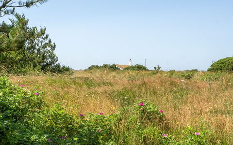 Sine - 500M from the Sea: Hus, Hjem, Tag, Sommerhus, Estate, Landscaping, Garden Bygninger, Sidespor, Stuehus