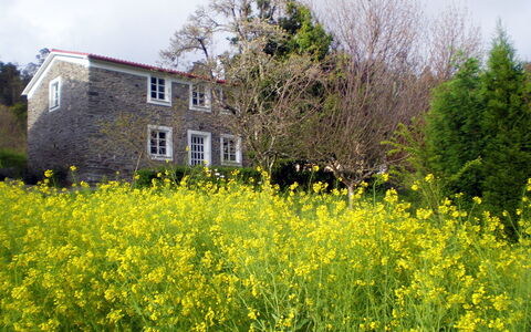 El Olivo: Blomst, Himmel, Plante, Vindue, Bygning, Træ, Naturlige Landskab, Hus, Land Lot