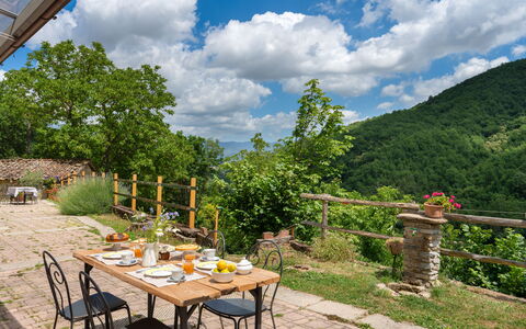 Villa Dei Tigli: Sky, Plante, Himmel, Bord, Ejendom, Natur, Blomsterkrukke, Udendørs Bord, Træ, Skygge