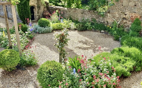 Casa Di Pietro In Vivo D'orcia, Pool: Blomst, Have, Busk, Plantesamfund, Bunddække, Forår, Backyard, Landscaping, Gård