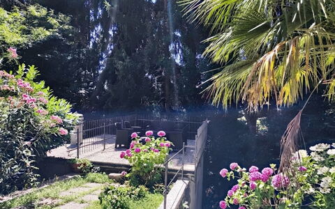 Casa sul Torrente: Vegetationen, Busk, Have, Forår, Landscaping, Backyard, Skygge, Gård, Botanisk Have