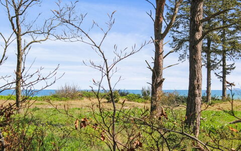 Carit - 80M from the Sea: Estate, Skygge, Indkørsel, Stuehus