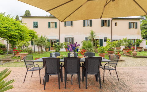 Villa Montegattoli, Pool, Landscape, Wifi, Ac: Plante, Bord, Møbel, Vindue, Bygning, Stol, Udendørs Møbler, Træ, Udendørs Bord, Gul