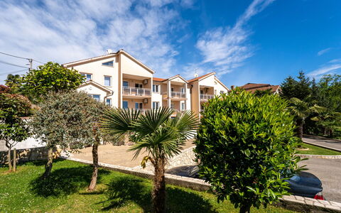 Palms: Sky, Plante, Himmel, Bygning, Ejendom, Vindue, Land Lot, Hus, Arecales, Træ