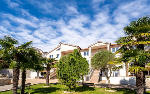 Palms: Sky, Plante, Himmel, Bygning, Azure, Vindue, Træ, Hus, Arecales, Urban Design