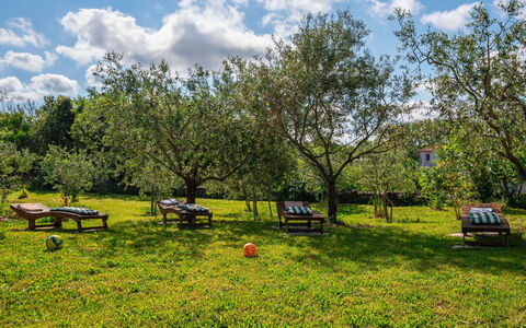 Tuscany: Sky, Plante, Himmel, Plantesamfund, Træ, Naturlige Landskab, Bord, Land Lot, Græs