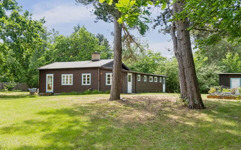 Heidl - 1.3Km to the Fjord: Græs, Træ, Bygning, Afdeling, Busk, Hus, Hjem, Landskab, Almindeligt