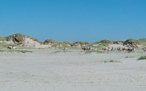Hariet - 300M from the Sea: Tækning, Sommerhus, Hus, Tag, Hjem, Stuehus, Hytte, Estate, Landsby