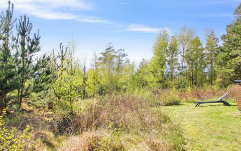 Efimija - 1.4Km from the Sea: Himmel, Græs, Træ, Naturligt Miljø, Blad, Vegetationen, Naturlige Landskab, Busk, Græs-, Land Lot