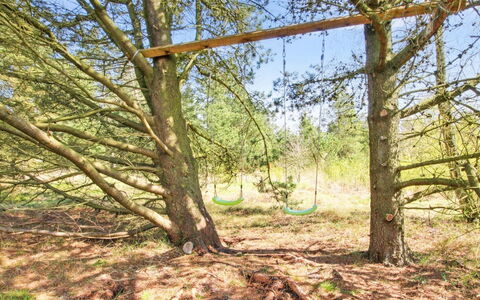 Efimija - 1.4Km from the Sea: Afdeling, Træ, Kvist, Bagagerum, Naturreservat, Skov, Vedplante, Woodland, Jord