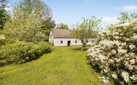 Ejnarine - 600M to the Fjord: Træ, Græs, Afdeling, Busk, Landdistrikt, Sommerhus, Kvist, Forår, Eng