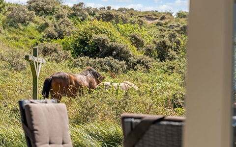 Senija - 334M from the Sea: Træ, Hjem, Veranda, Dæk, Hårdttræ, Tag, Bejdse, Trægulve, Eco Hotel