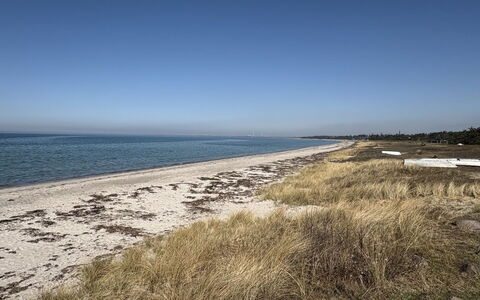 Cita - 350M from the Sea: Vand, Strand, Kyst, Horisont, Kyst, Hav, Coastal Og Oceaniske Landskabsformer, Sand
