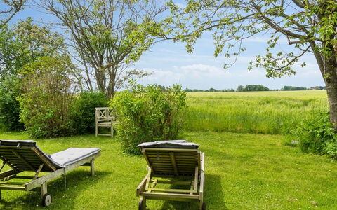 Ødke - 350M from the Sea: Hus, Hjem, Tag, Sommerhus, Estate, Landscaping, Garden Bygninger, Sidespor, Stuehus