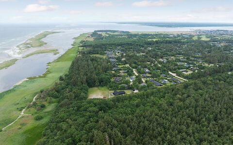 Ingwin - from the Sea: Boligområde, Busk, Hus, Hjem, Have, Estate, Skygge, Landscaping, Lawn
