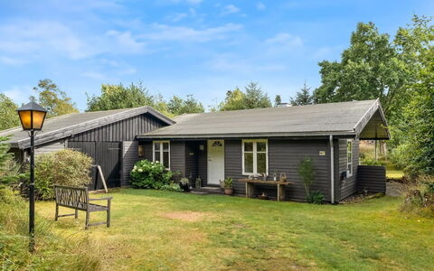 Ellinore - from the Sea: Tag, Hus, Hjem, Sommerhus, Sidespor, Estate, Indkørsel, Garden Bygninger, Gård, Skur