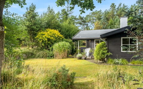 Ellinore - from the Sea: Tag, Hus, Hjem, Sommerhus, Sidespor, Estate, Indkørsel, Garden Bygninger, Gård, Skur